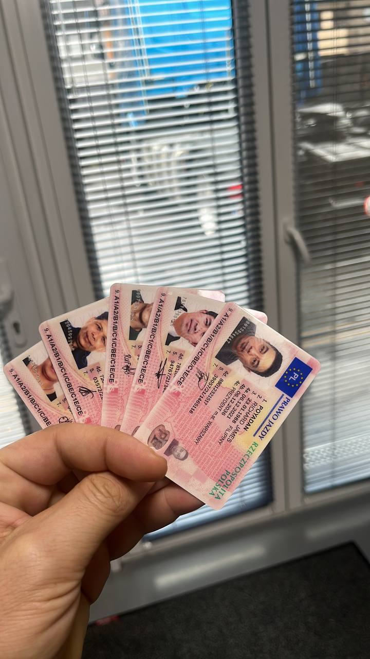 European Driver's Licenses
